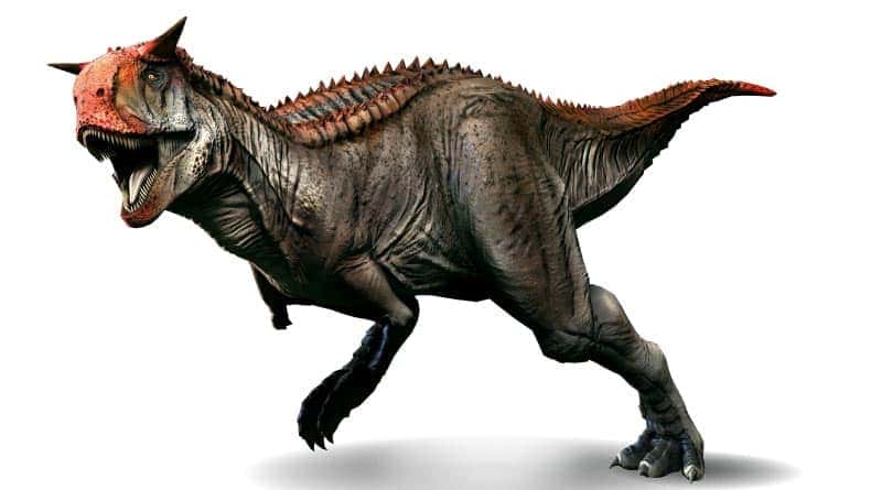 carnotaurus gefährlicher dinosaurier