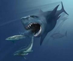 megalodon