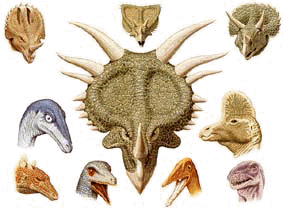 verschiedene Dinosaurierköpfe