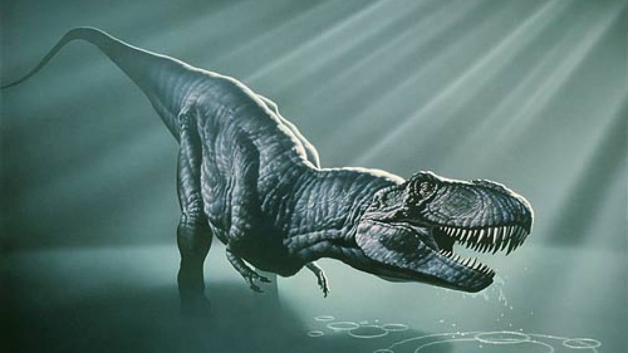 Dinosaurier aller zeiten der größte Flugsaurier Größe