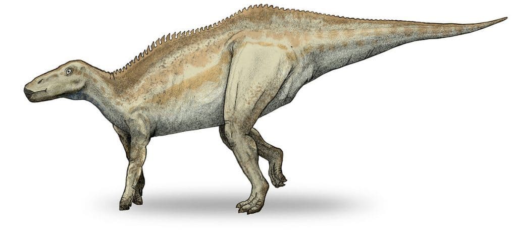 Shantungosaurus