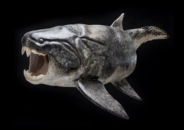 Dunkleosteus