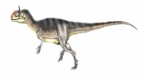 Bild Cryiolophosaurus