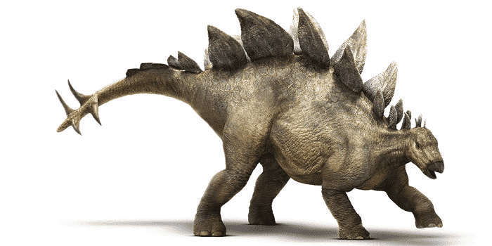 Zeichnung Stegosaurus