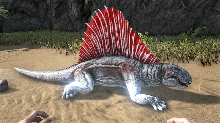 Dimetrodon