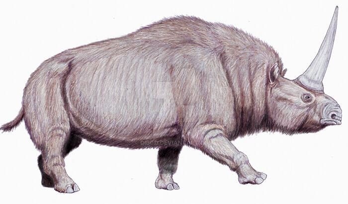 Elasmotherium