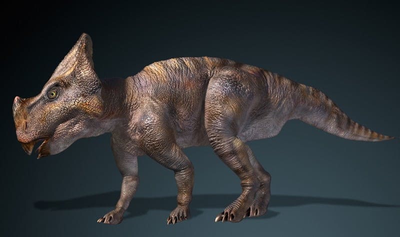 nachbildung montanoceratops