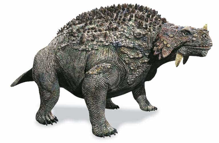dinosaurier Scutosaurus