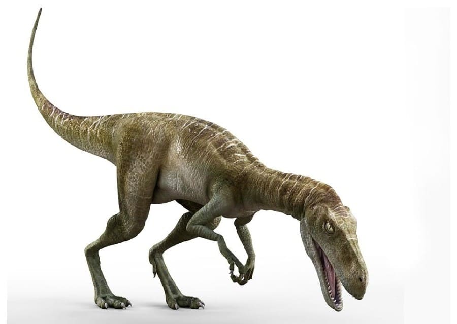 Staurikosaurus