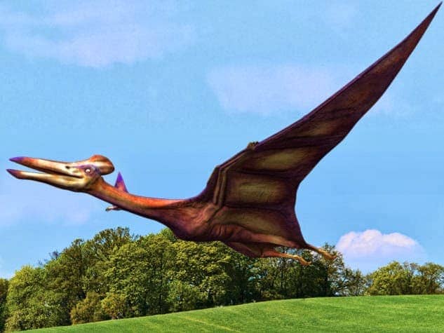 Pterosaurier - Flugsaurier