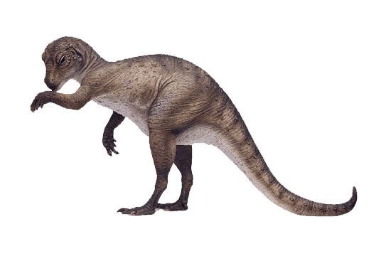 Heterodontosaurus