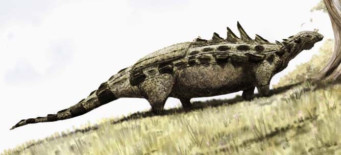 Polacanthus