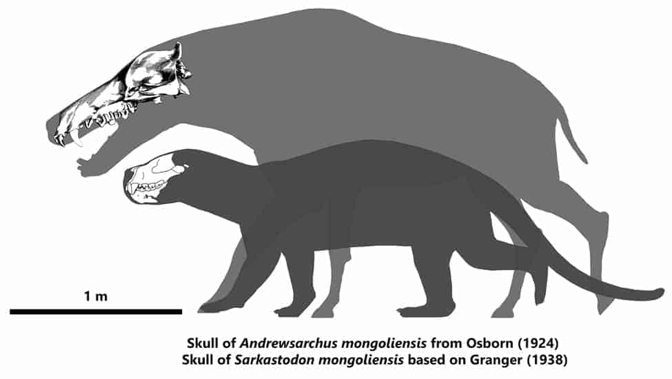 Vergleich Andrewsarchus