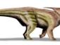 achelousaurus