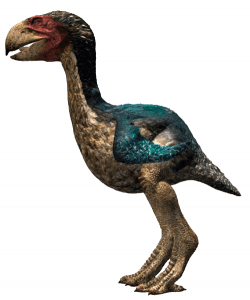 Gastornis