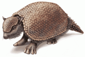 Glyptodon