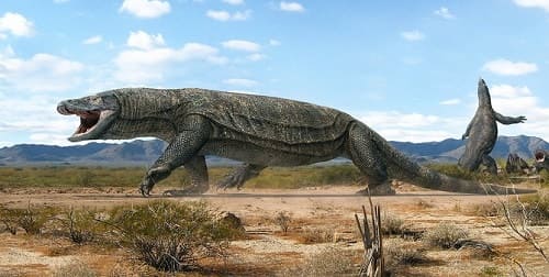 Megalania