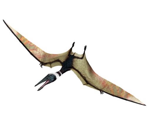 Flugsaurier ⋆ Dinosaurierwelt.com