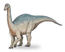 Agrosaurus ⋆ Dinosaurierwelt.com