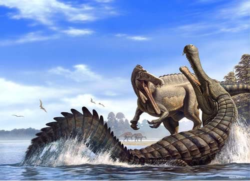 Sarcosuchus Dinosaurierwelt Com