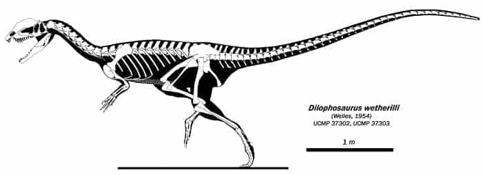 Beschreibung Dilophosaurus