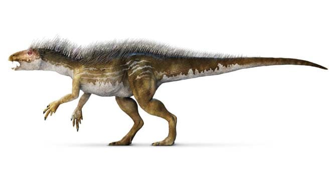Heterodontosaurus ⋆