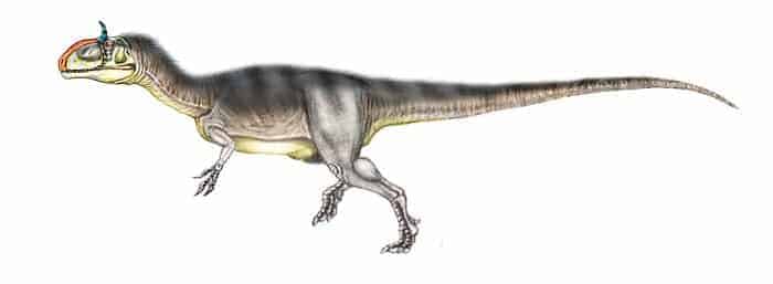 Bild Cryiolophosaurus