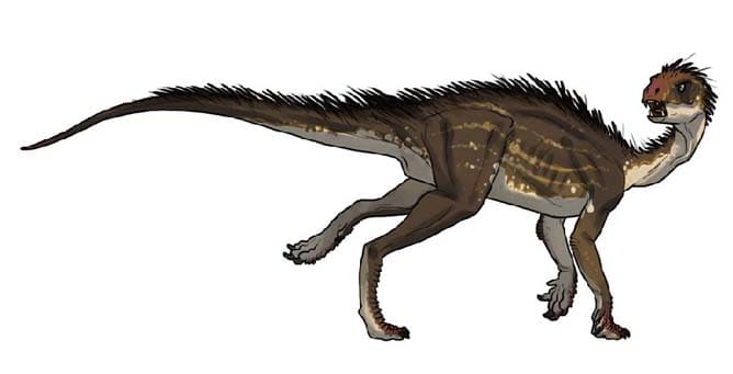Heterodontosaurus