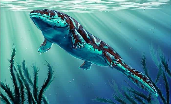 Aussterben Ichthyostega