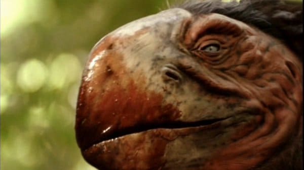 gastornis - schnabel