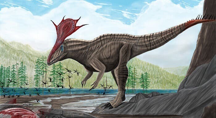 Lebensraum Cryolophosaurus