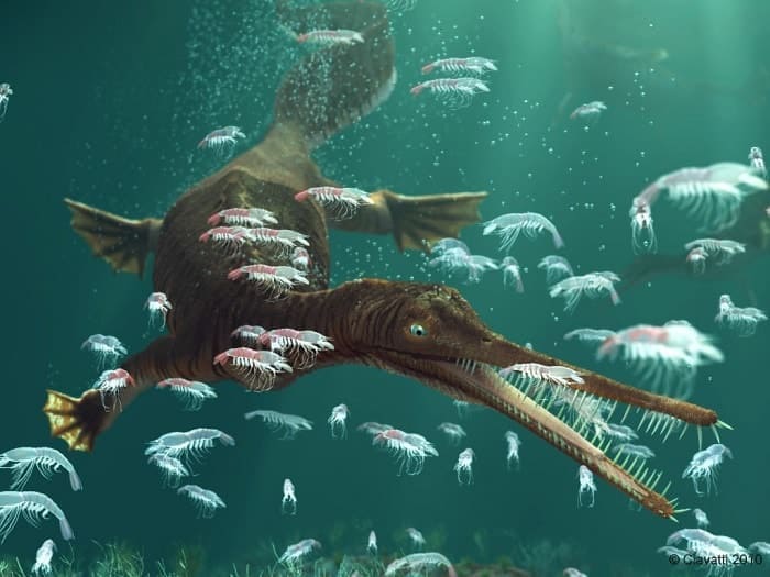Mesosaurus ⋆