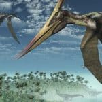Pterodactylus