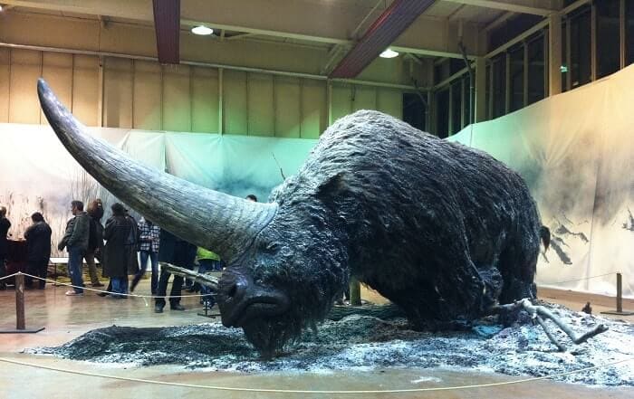 Rekonstruktion Elasmotherium