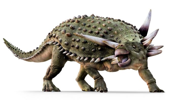 Sauropelta