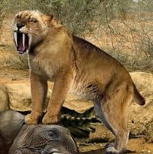 Smilodon auf der Jagd