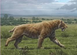 Smilodon