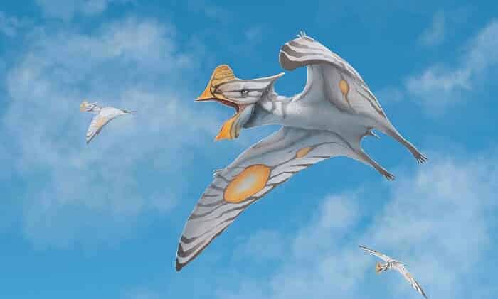 Tapejara en los aires