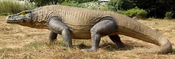 lebensraum-megalania