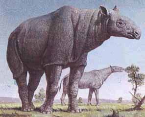 Baluchitherium 
