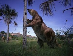 Megatherium o perezoso gigante