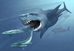 megalodon
