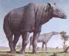 Baluchitherium 