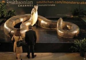 Titanoboa
