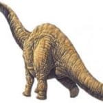 Argentinosaurus
