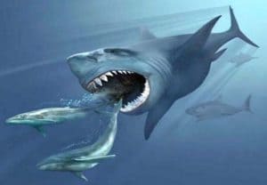 megalodon