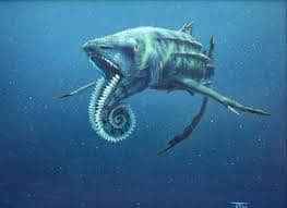 Helicoprion