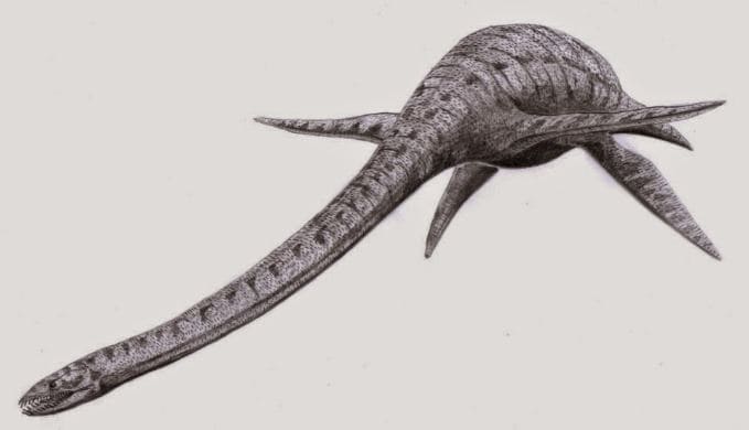 Plesiosaurier