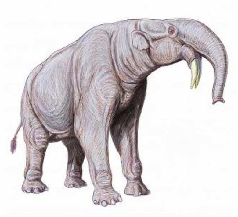 Deinotherium Beschreibung