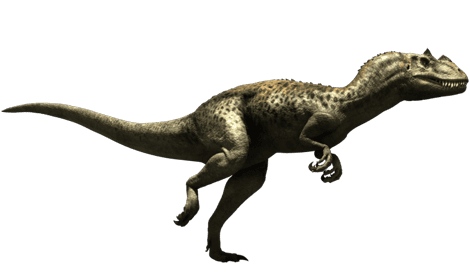 ceratosaurus